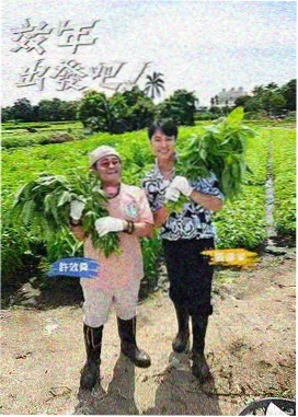 灯塔榜单综艺条目《潮汐食堂》缩略图